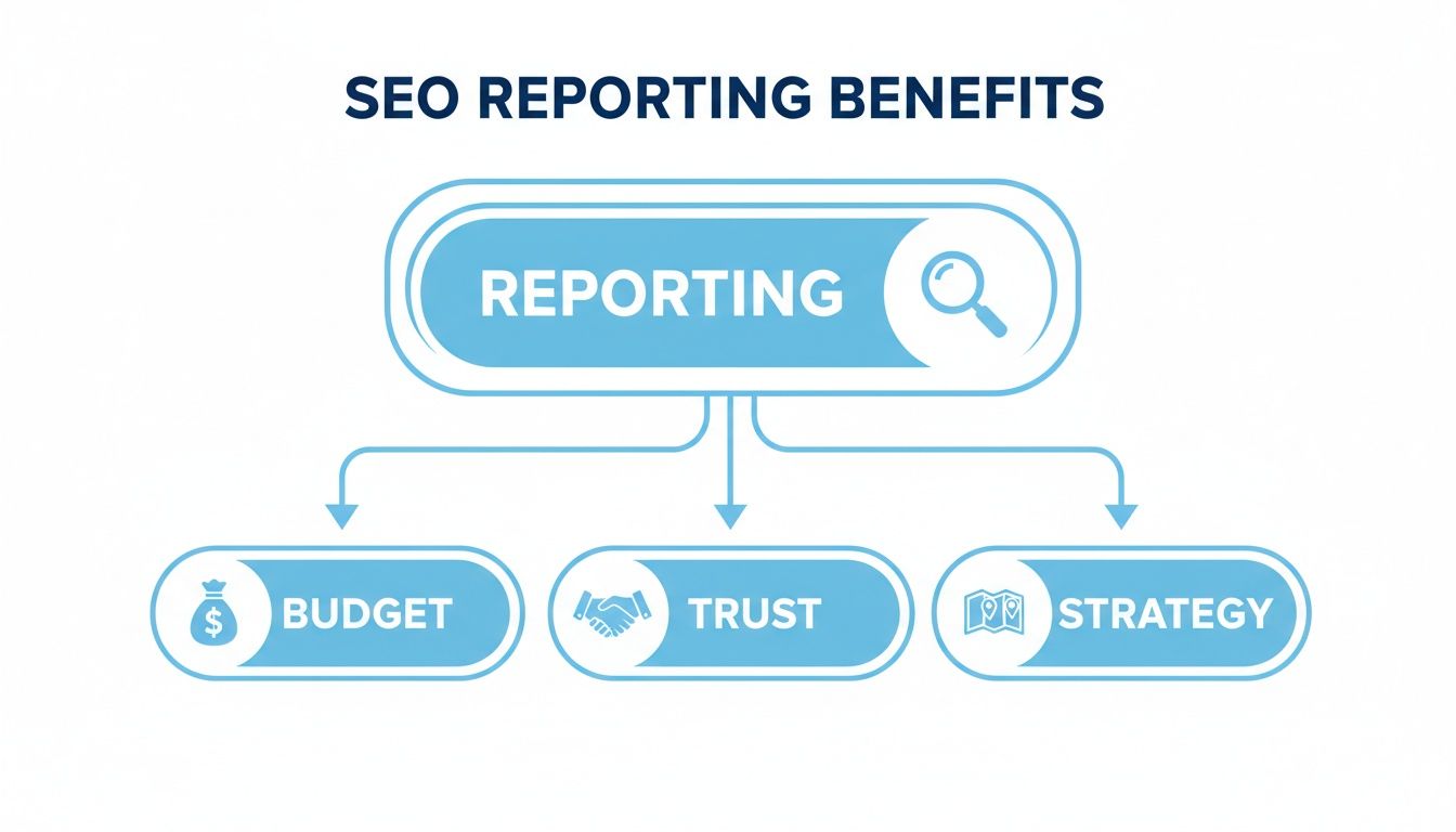 Infographic illustrating SEO reporting benefits: budget management, building trust, and informing strategy.