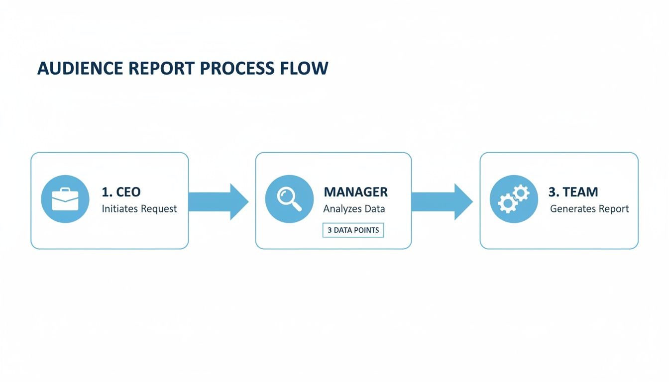 Process flow diagram showing steps for audience report generation: CEO request, manager analysis, team report.