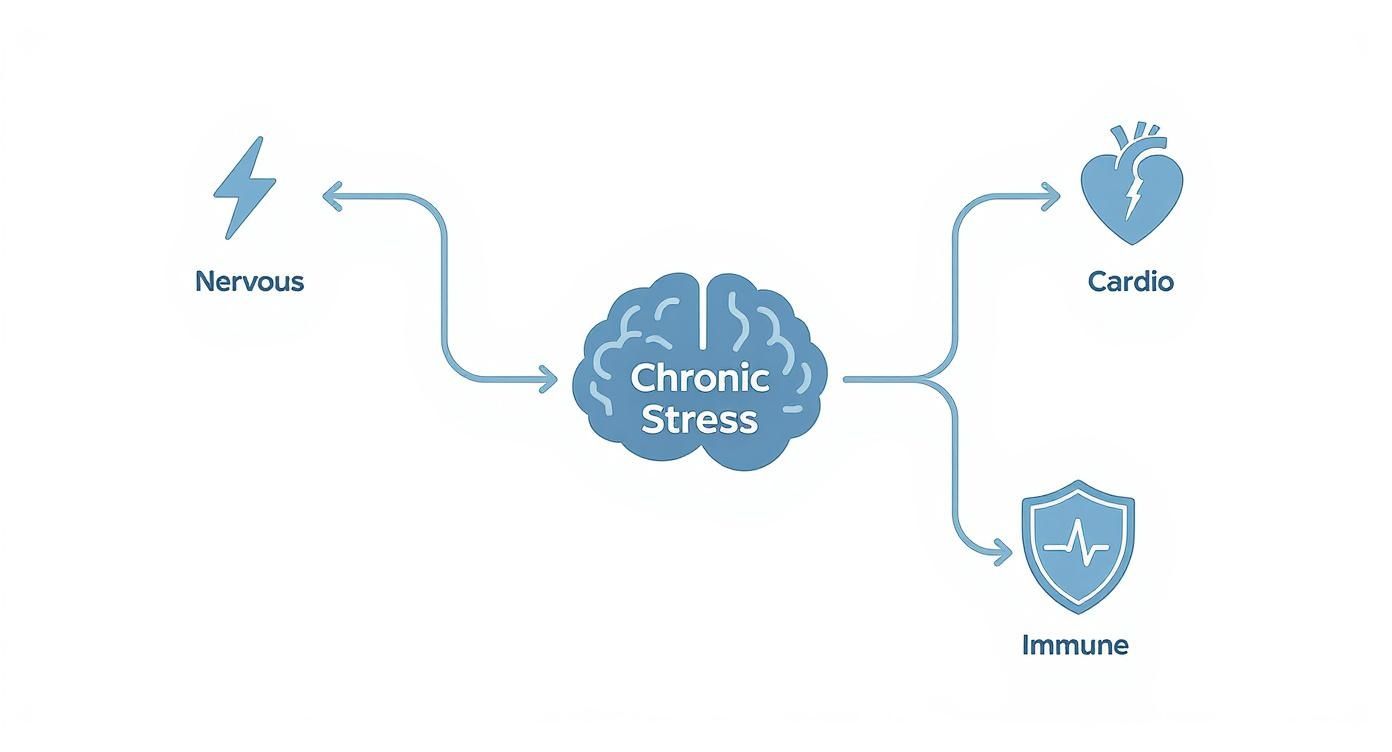 Infographic about chronic stress effects on body