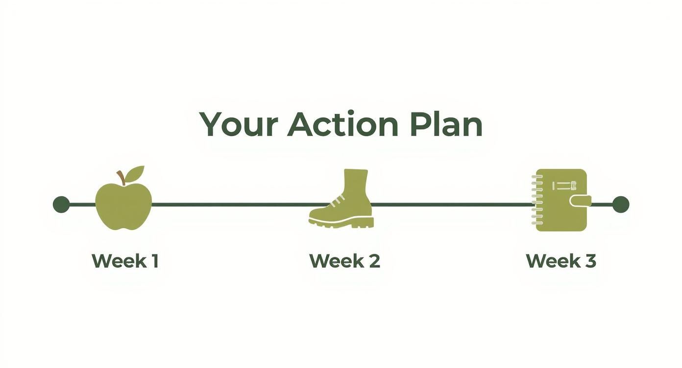 Infographic timeline showing an action plan to reduce inflammation naturally, with icons for Week 1 (diet), Week 2 (movement), and Week 3 (mindfulness).