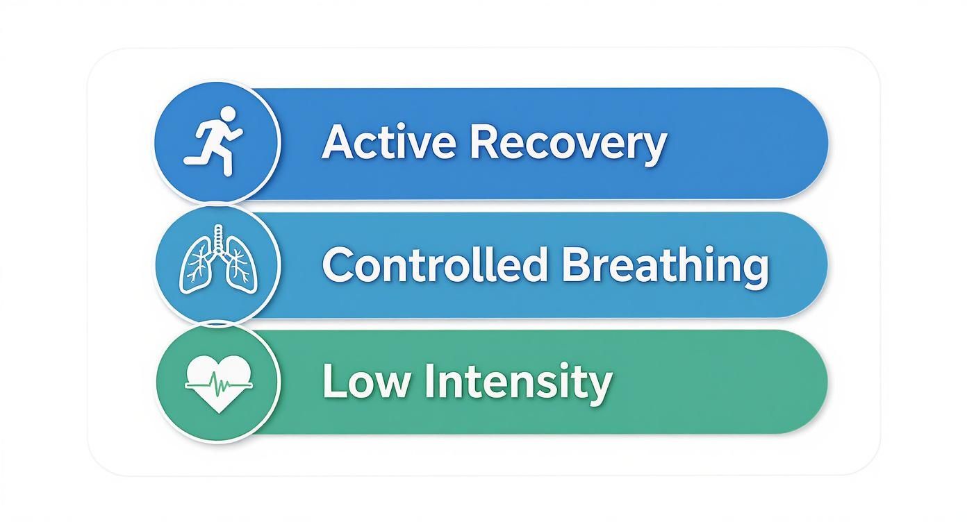 Infographic about how to reduce lactic acid
