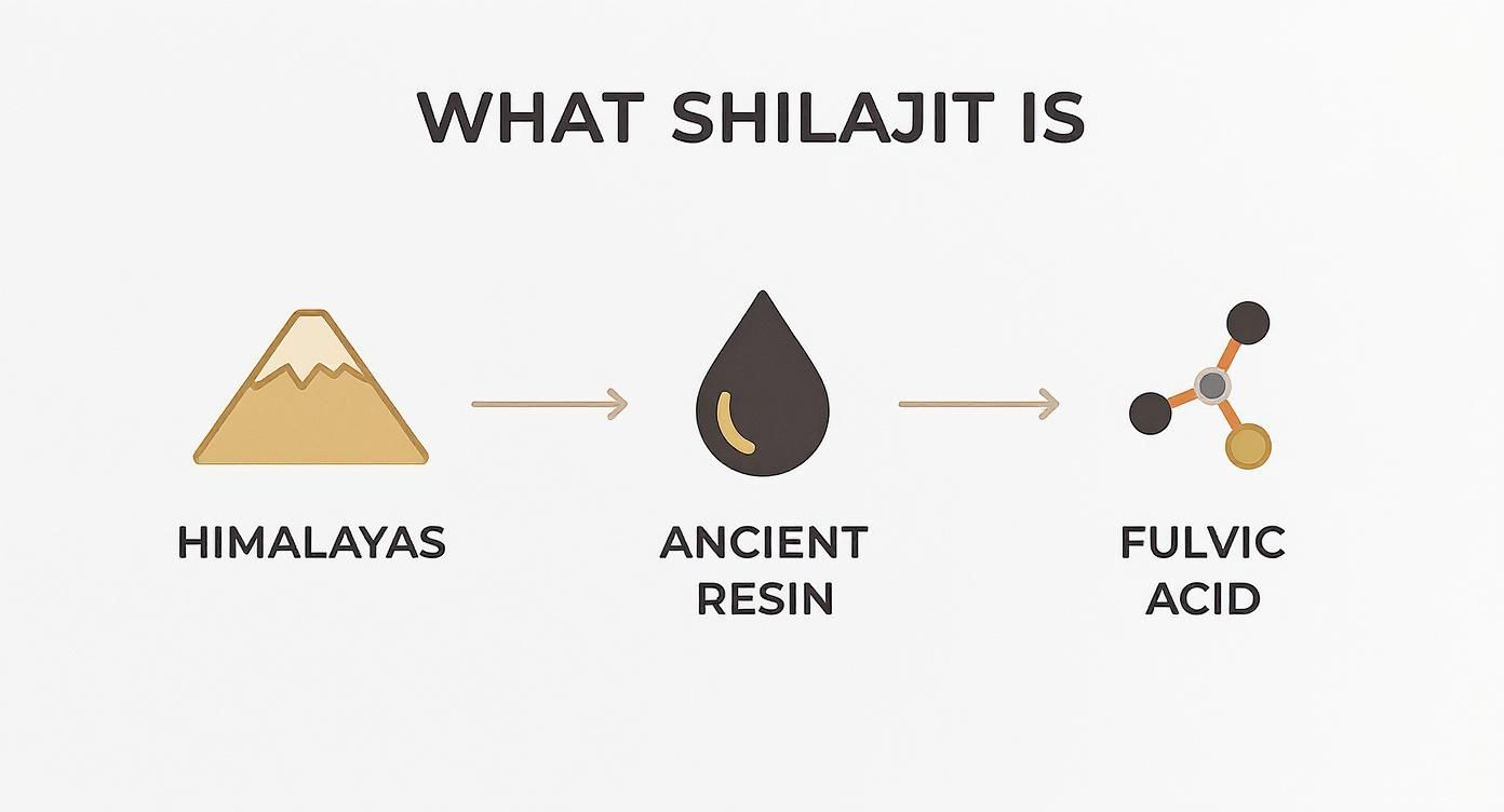 Diagram showing Shilajit originating from the Himalayas as ancient resin, yielding fulvic acid.