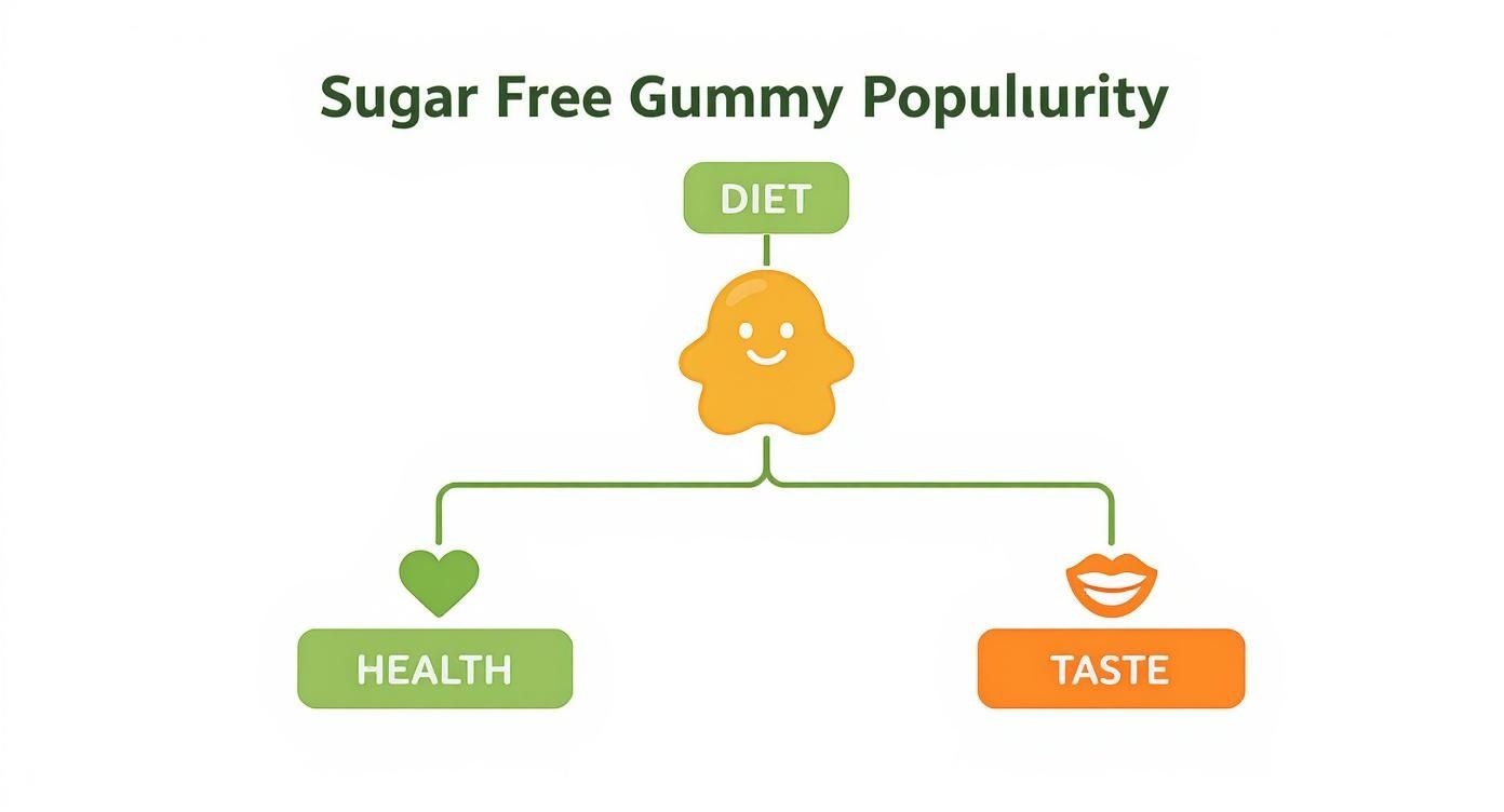 Infographic about sugar free gummies