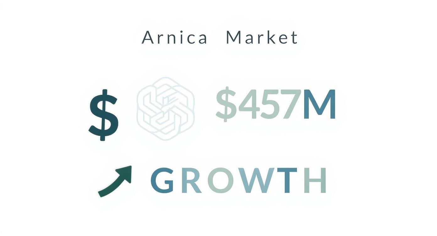 Infographic showing the global market for Arnica at $457 million and a rising growth arrow.