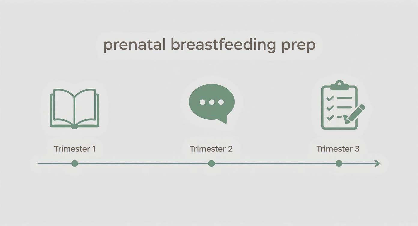 Timeline showing prenatal breastfeeding preparation across three trimesters with education, consultation, and planning icons