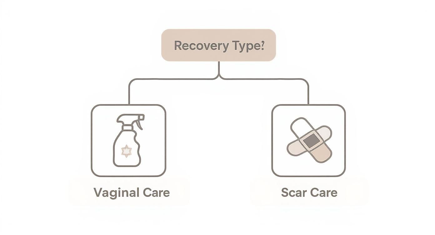 Infographic about postpartum must haves for mom