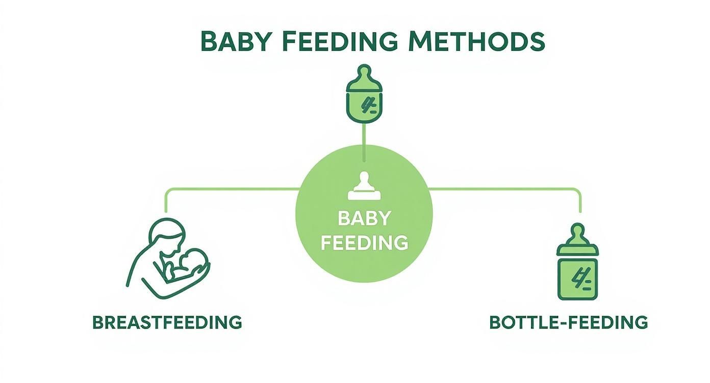 Infographic showing baby feeding methods including breastfeeding and bottle-feeding options with illustrated icons