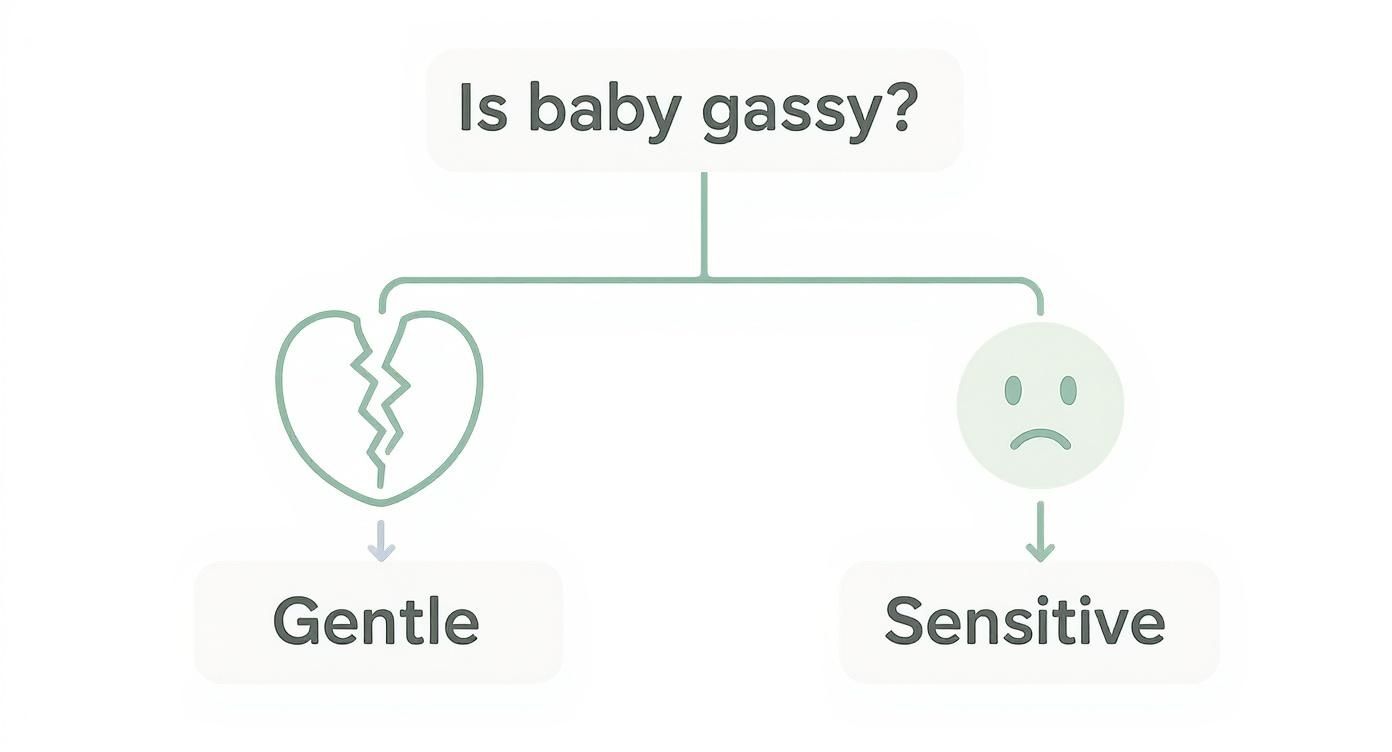 Infographic about baby formula for gas and fussiness