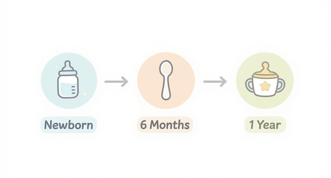 Infographic about best baby feeding supplies