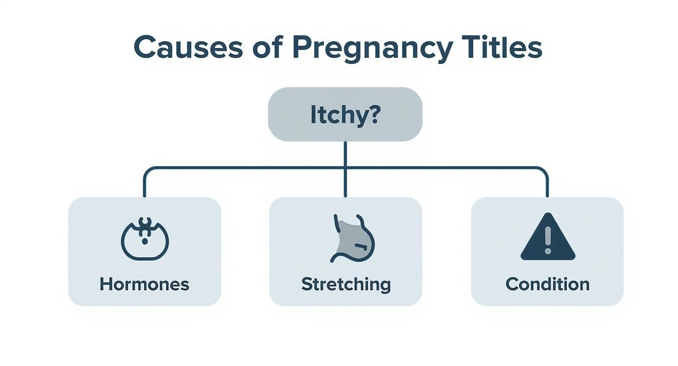Infographic about anti itch cream pregnancy