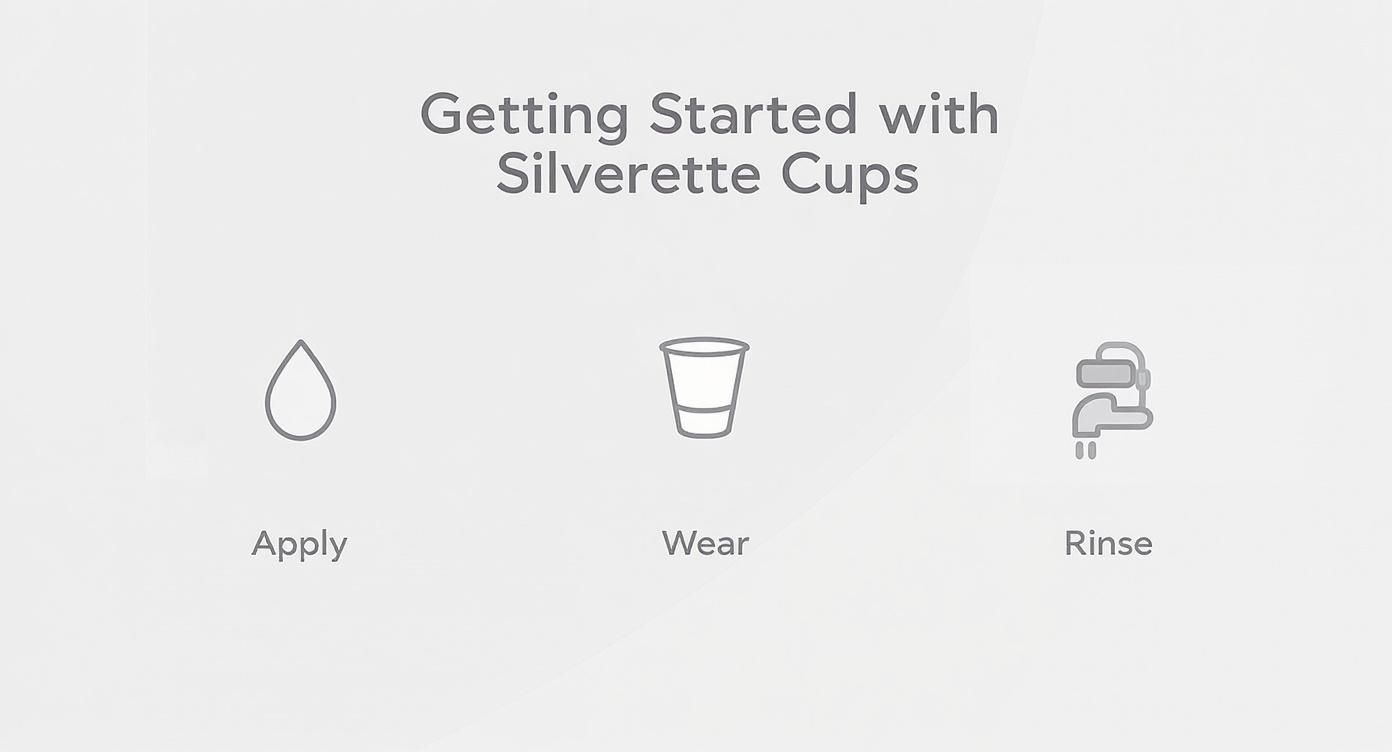 Instructional graphic for Silverette Cups showing three steps: Apply, Wear, and Rinse.