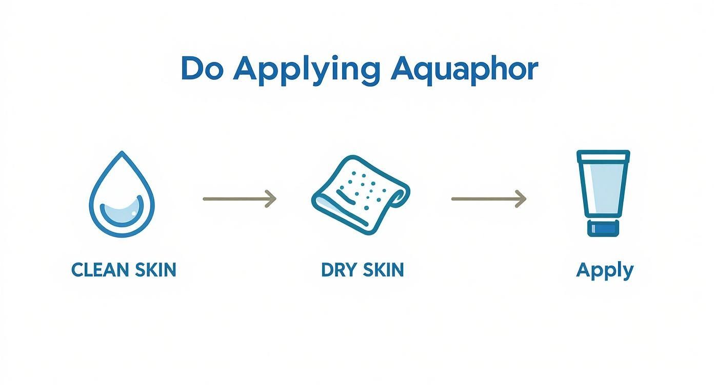 An infographic illustrating the three-step process for applying Aquaphor clean skin, dry skin, then apply.