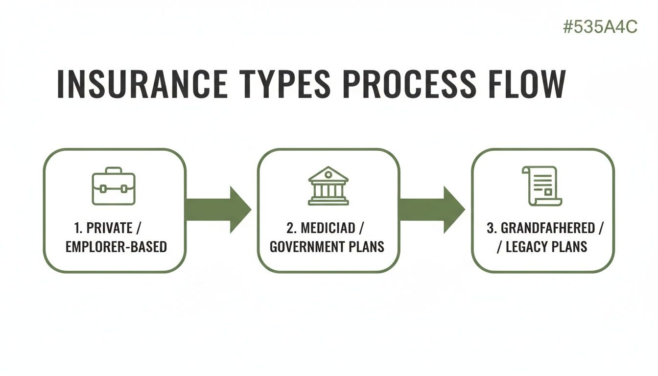 A flow chart visually represents three main insurance types: private/employer, government plans, and legacy plans.