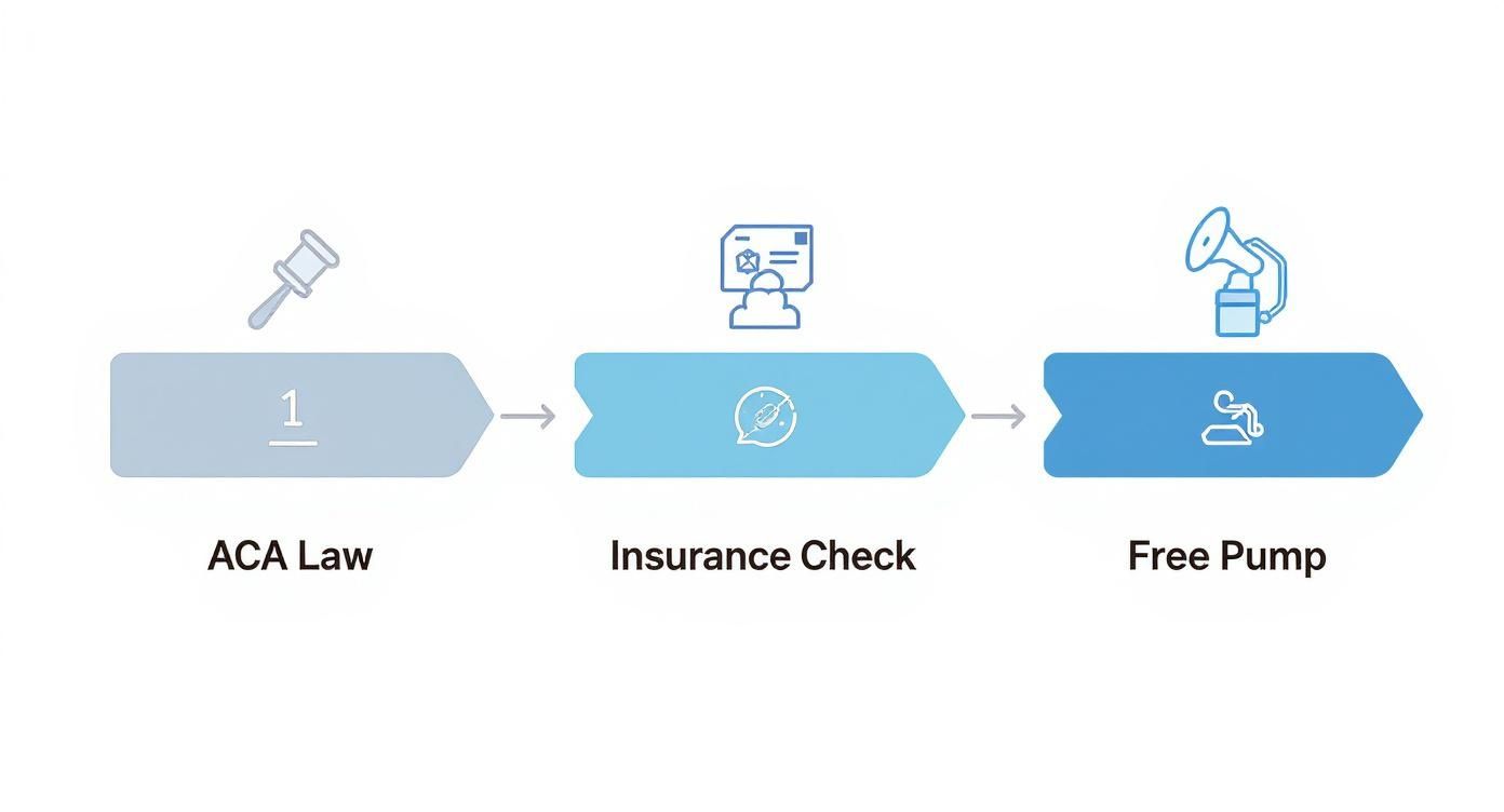 A three-step diagram showing ACA Law, Insurance Check, and Free Pump for obtaining a breast pump.