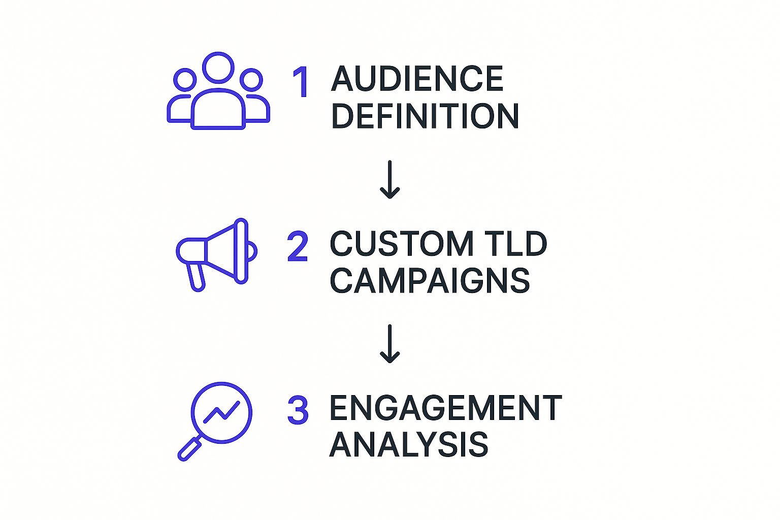 Own your TLD campaign process Own your TLD marketing strategy showing audience definition, custom TLD campaigns, and engagement analysis