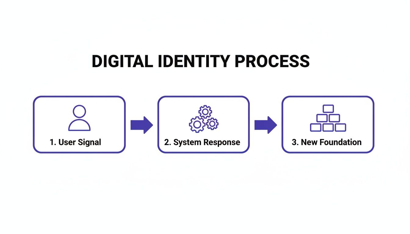 Flowchart illustrating the digital identity process with three steps: User Signal, System Response, and New Foundation.