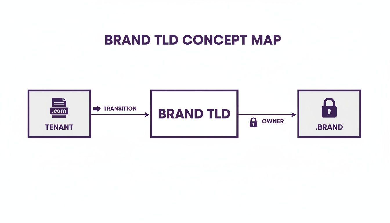 Concept map illustrating the transition from a .com tenant to an owned, secure .BRAND top-level domain.