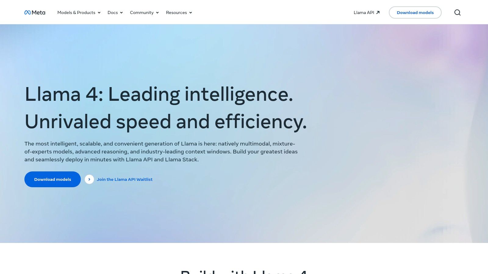 Meta Llama