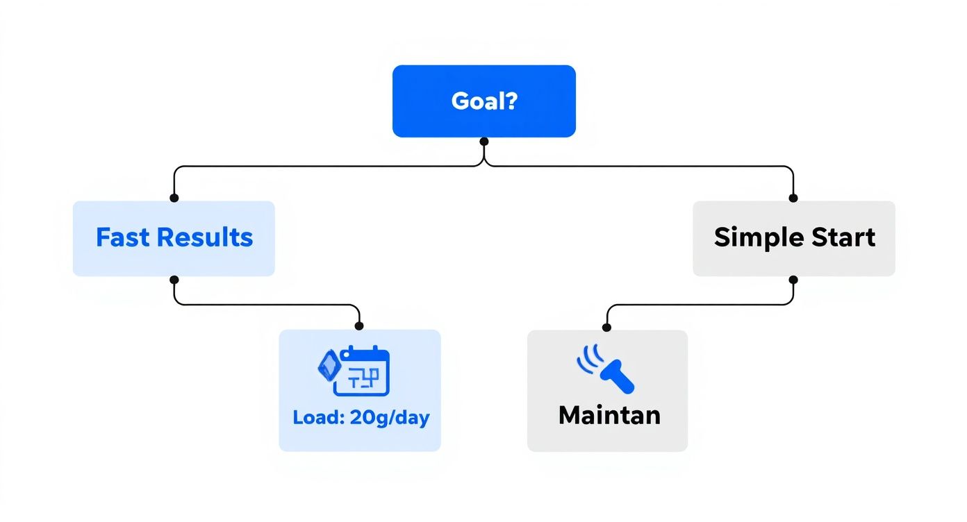 Infographic about how to take creatine effectively