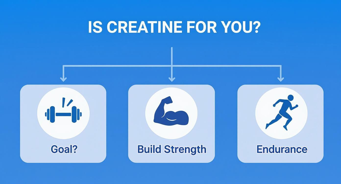 Infographic about best creatine for beginners