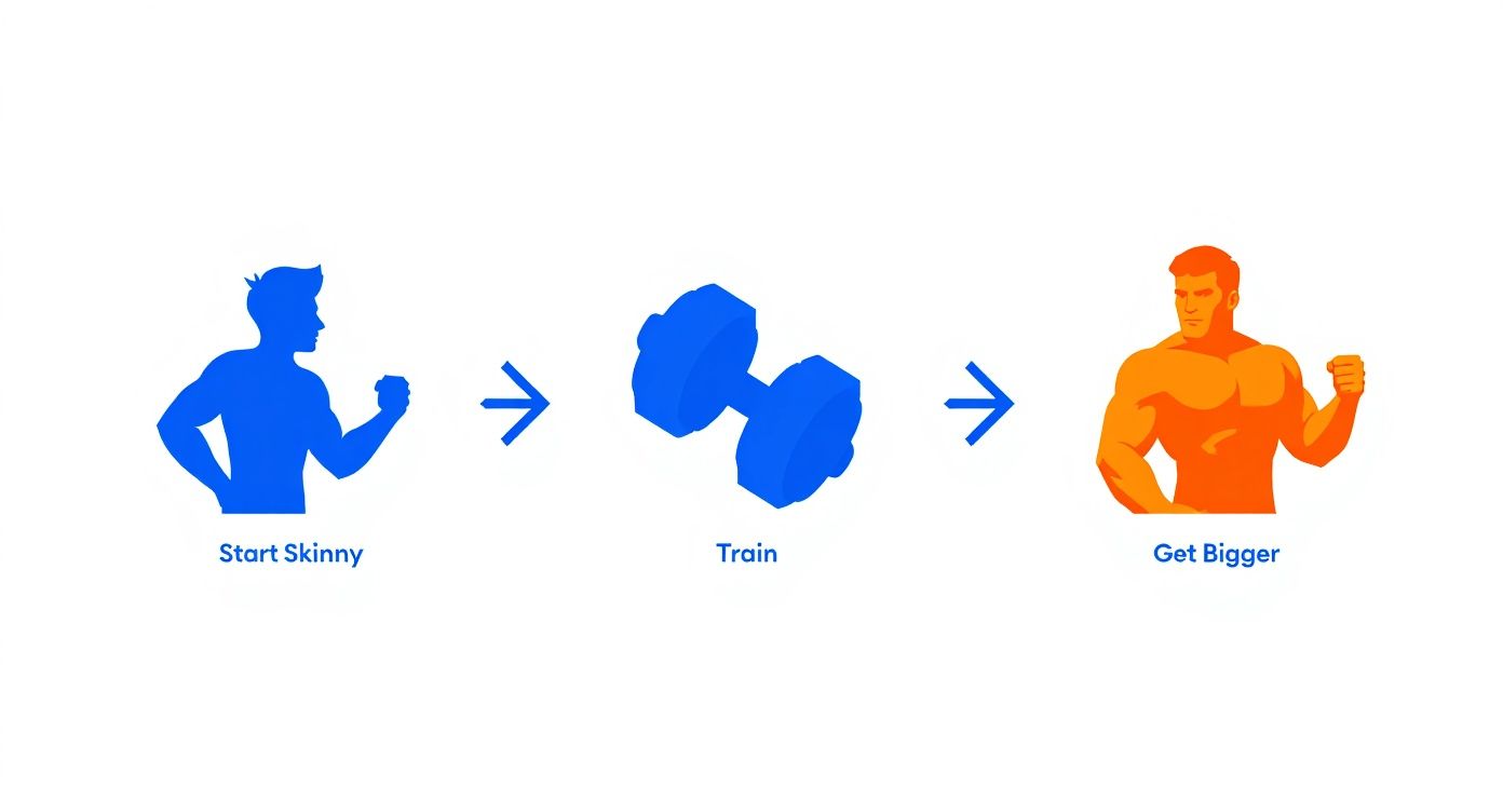 Illustration depicting the journey from 'Start Skinny' to 'Get Bigger' through 'Train' with a dumbbell.
