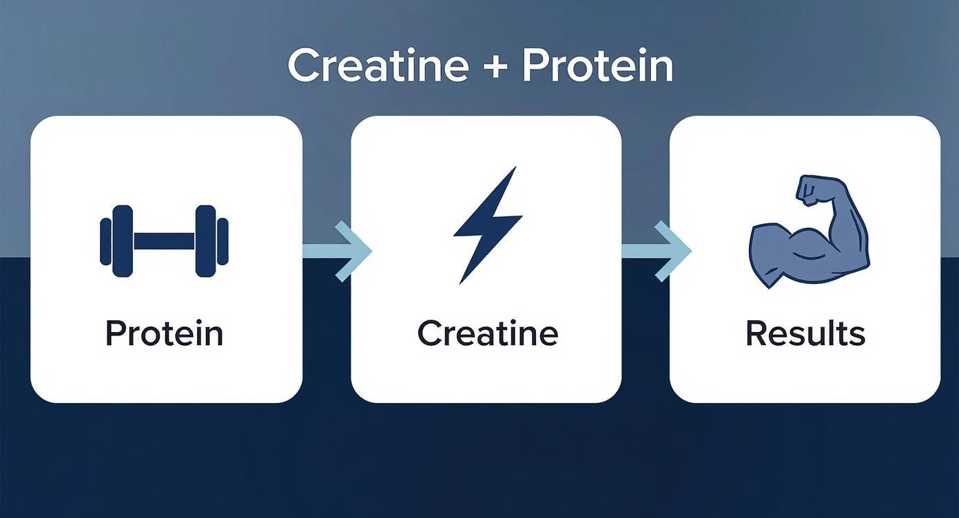 A diagram illustrating the combination of protein and creatine for enhanced fitness results.