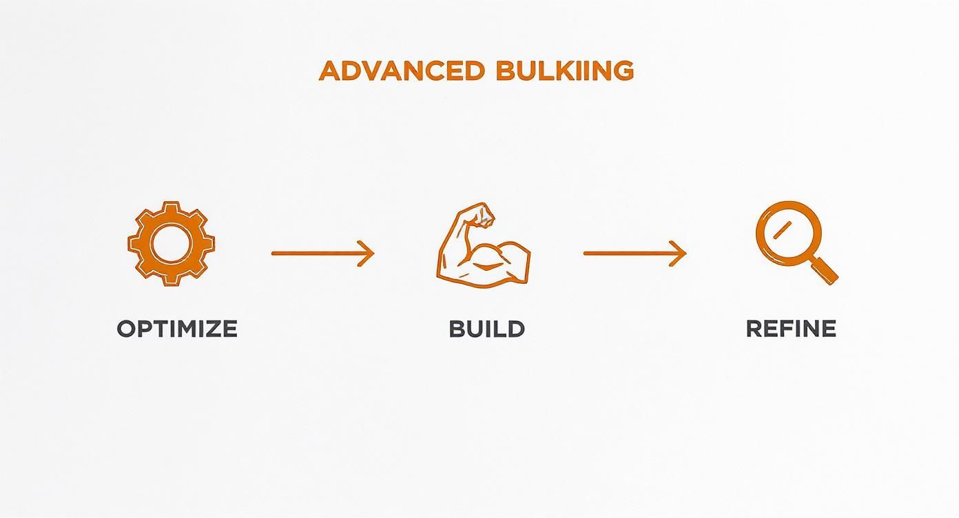 Infographic about supplement stacks for bulking