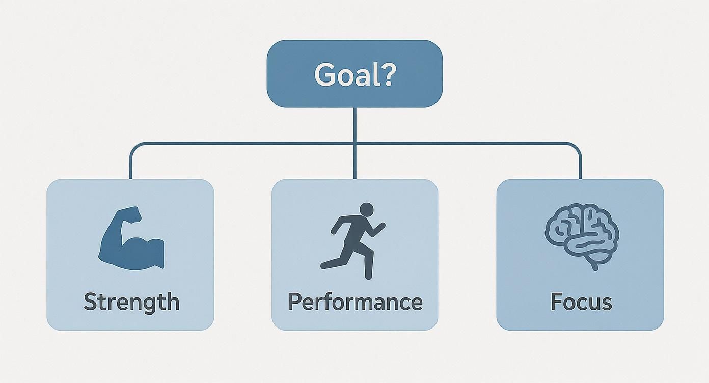 A flowchart with 'Goal?' at the top, leading to Strength, Performance, and Focus.
