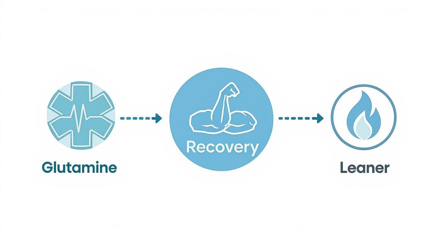 Infographic about supplements for lean muscle mass