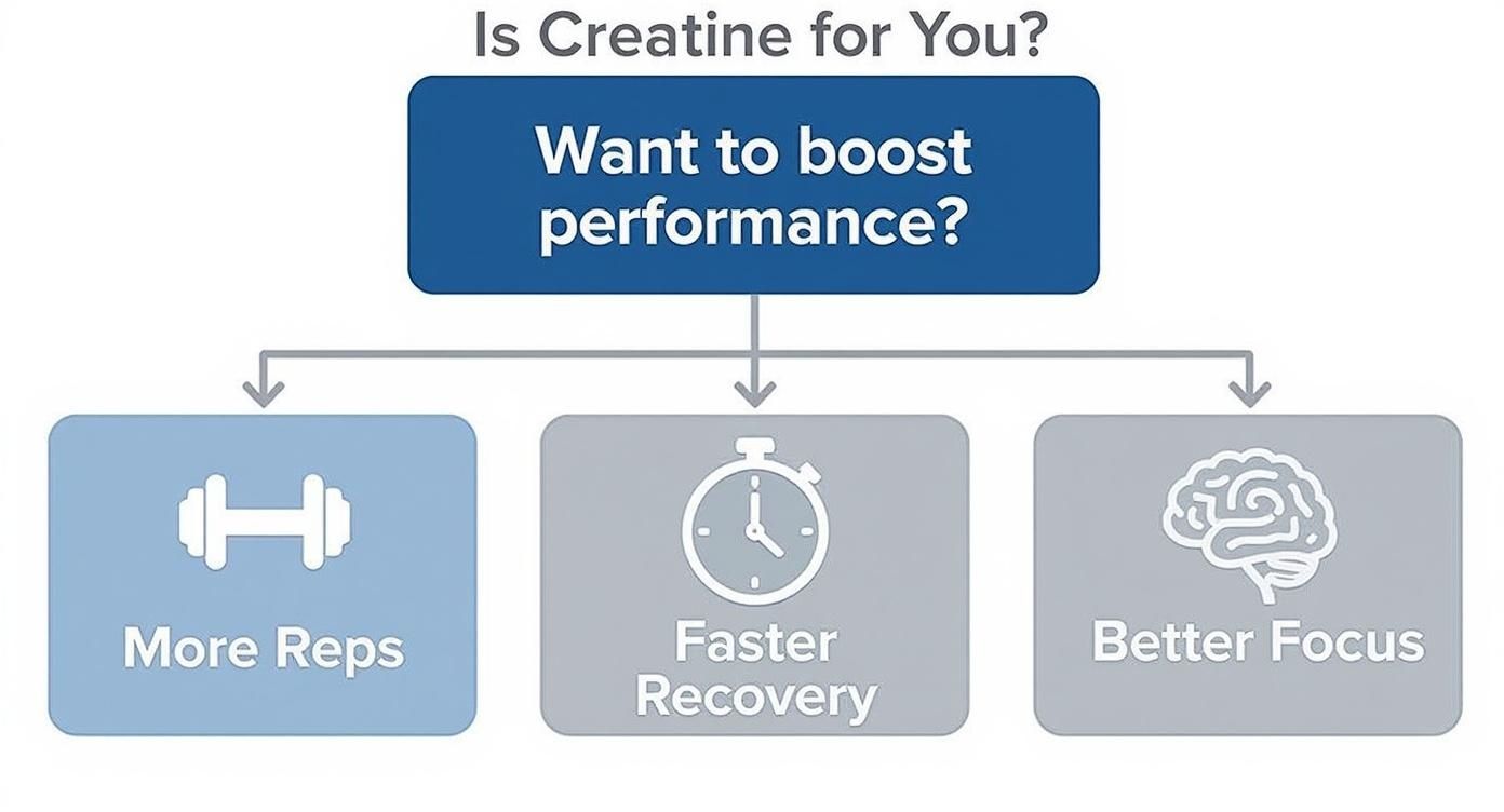 Infographic about best creatine supplements for men
