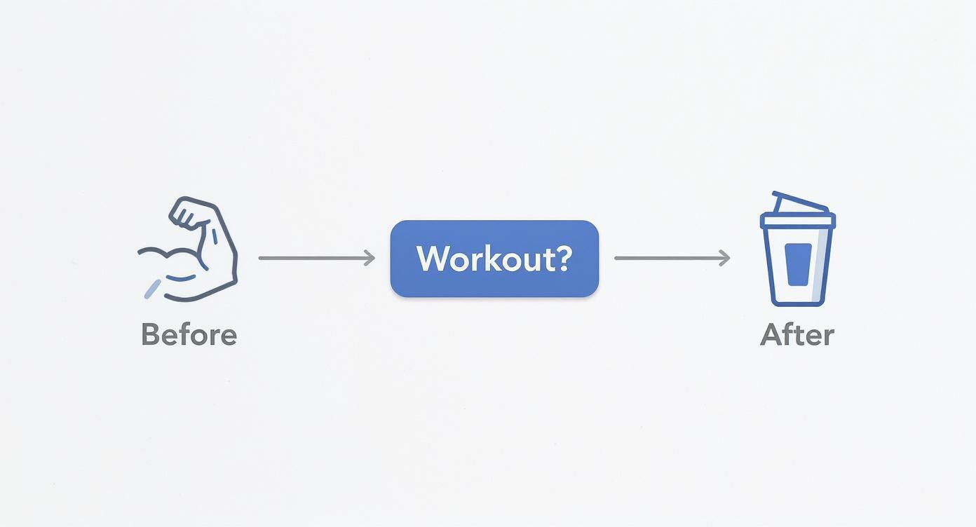 Infographic about when to take creatine before or after workout