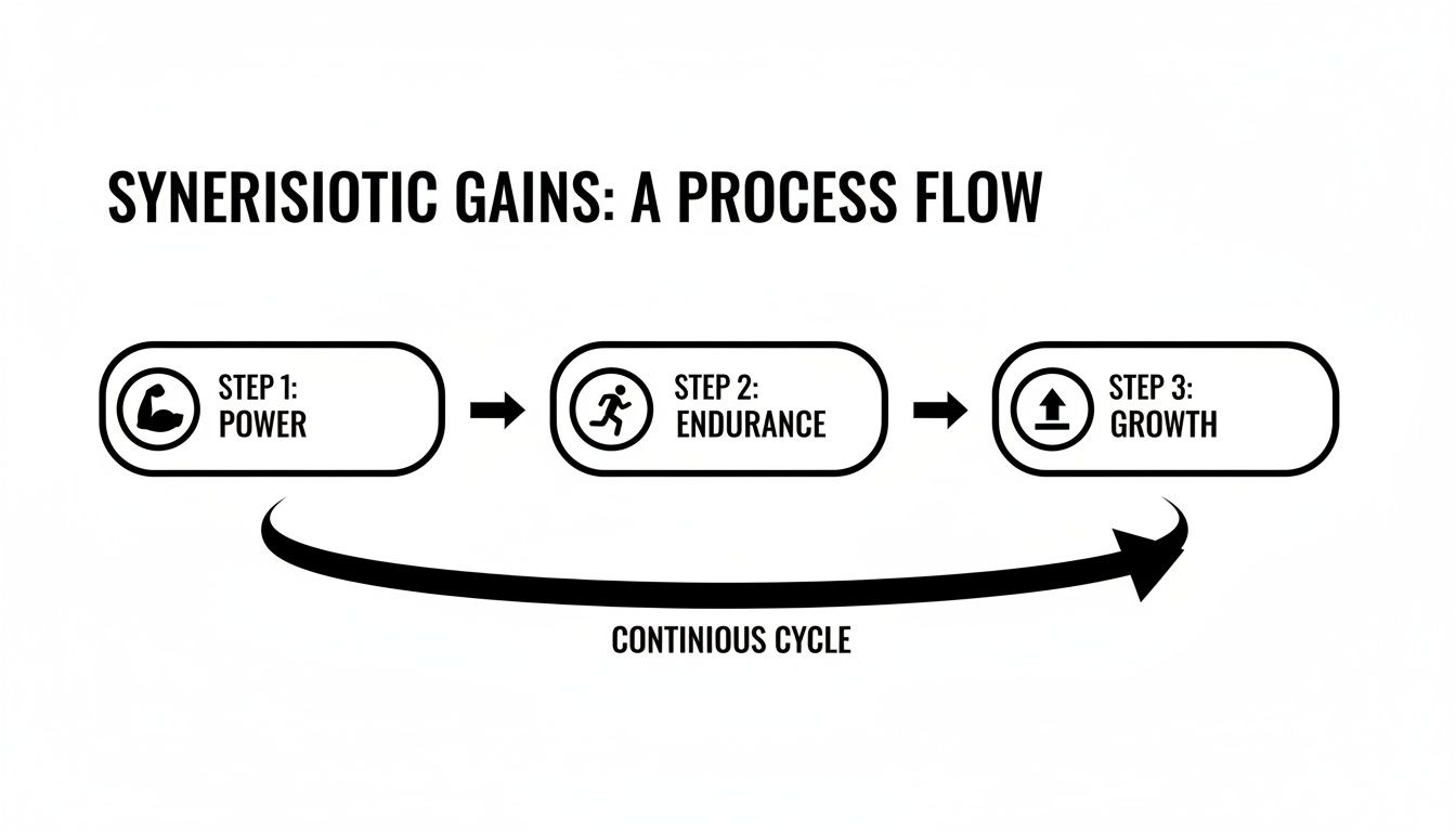 Diagram showing synergistic gains process: Power, Endurance, Growth in a continuous cycle.
