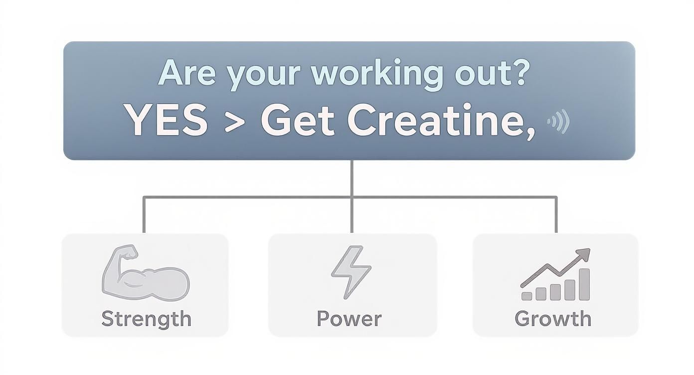 Flowchart recommending creatine for workout benefits including strength, power, and muscle growth.