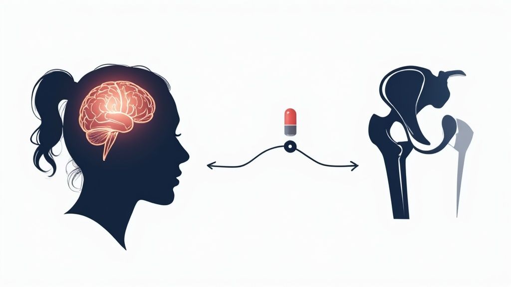 Illustration showing a brain, a pill, and a hip joint, symbolizing neurological treatment for musculoskeletal health.