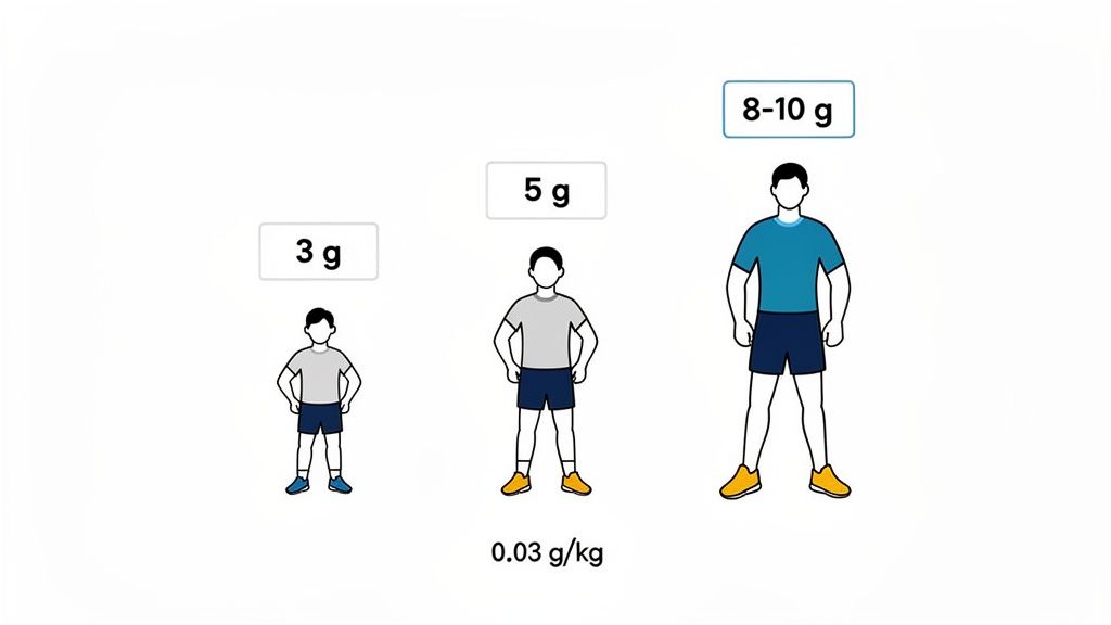 Infographic illustrating creatine dosage recommendations for different body sizes, showing 3g, 5g, and 8-10g.