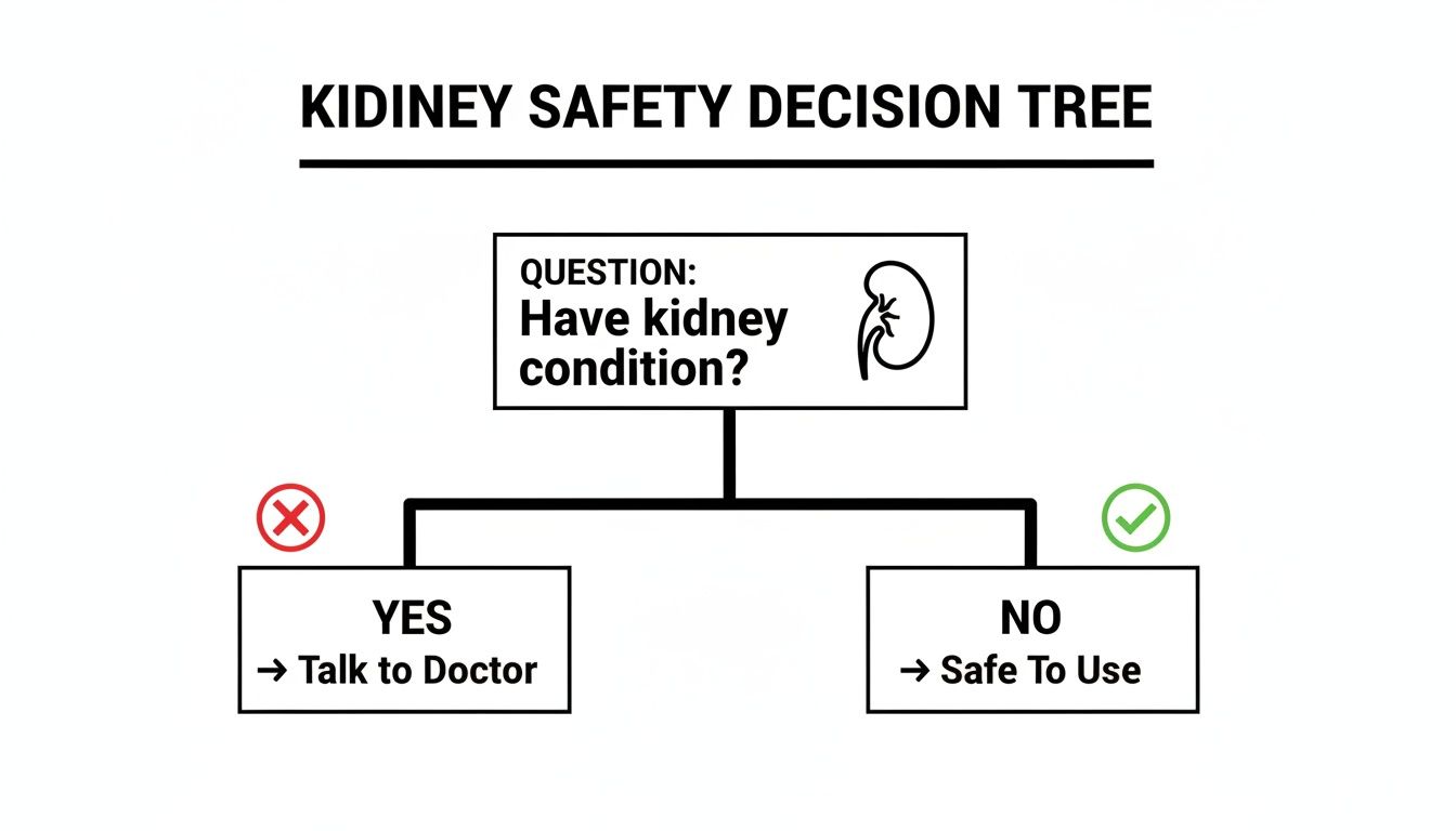 Kidney safety decision tree asking about kidney conditions, guiding users to talk to a doctor or deeming safe to use.