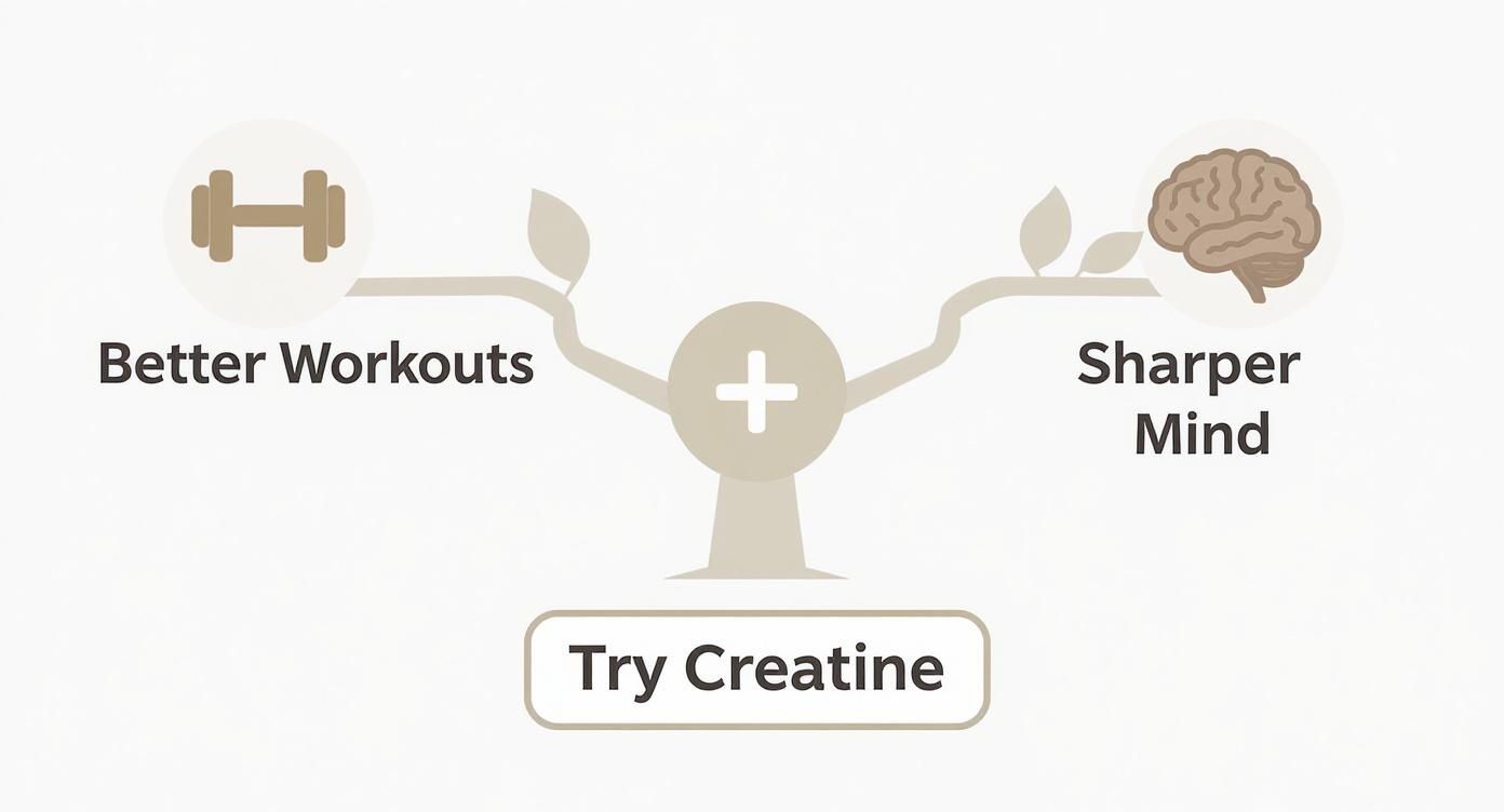 Infographic about best creatine for women