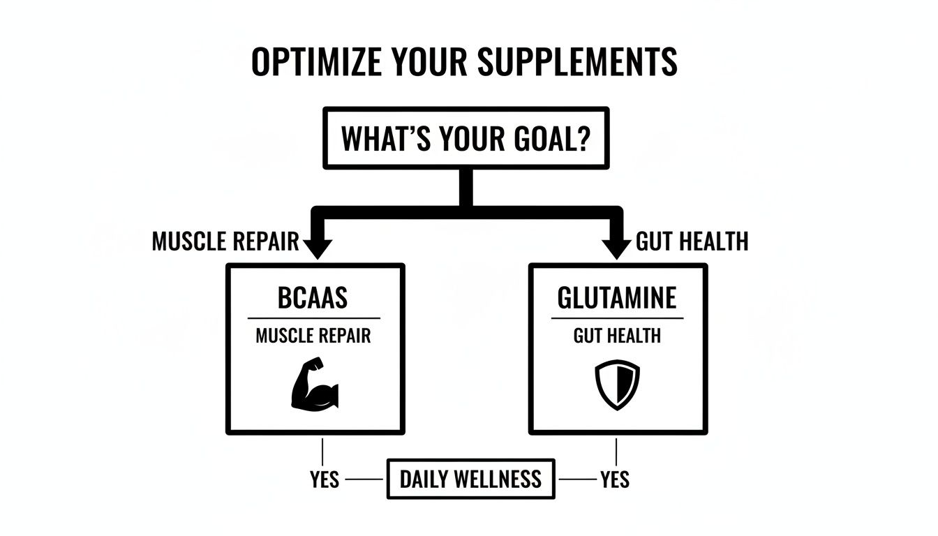 A flowchart guiding supplement choices for muscle repair (BCAAs) or gut health (Glutamine) for daily wellness.