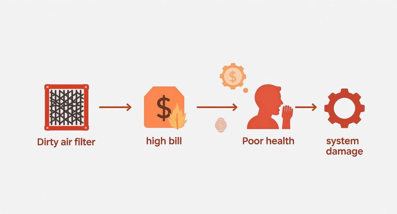 Infographic about how often to replace air filter