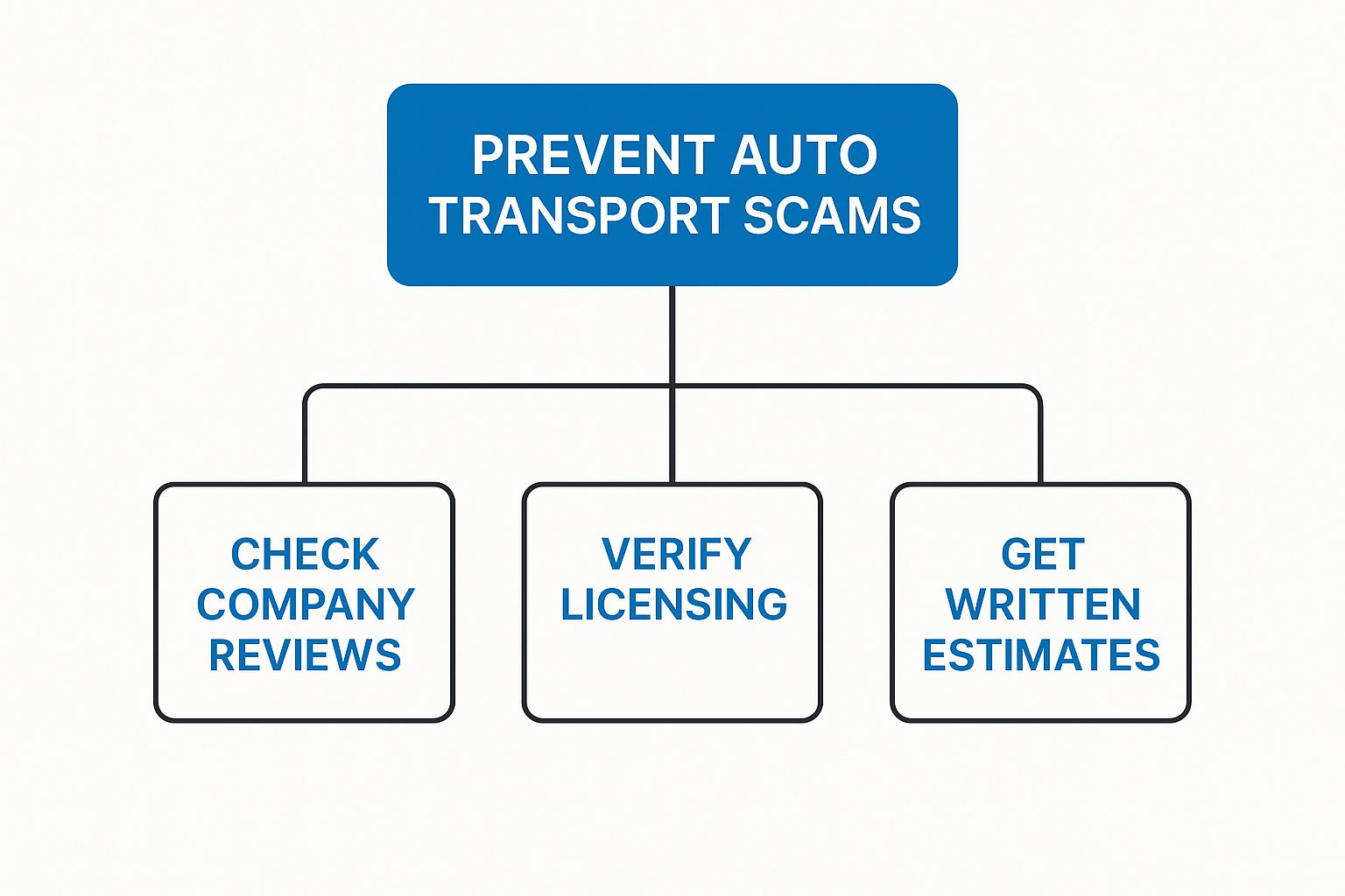 Infographic about auto transport scams
