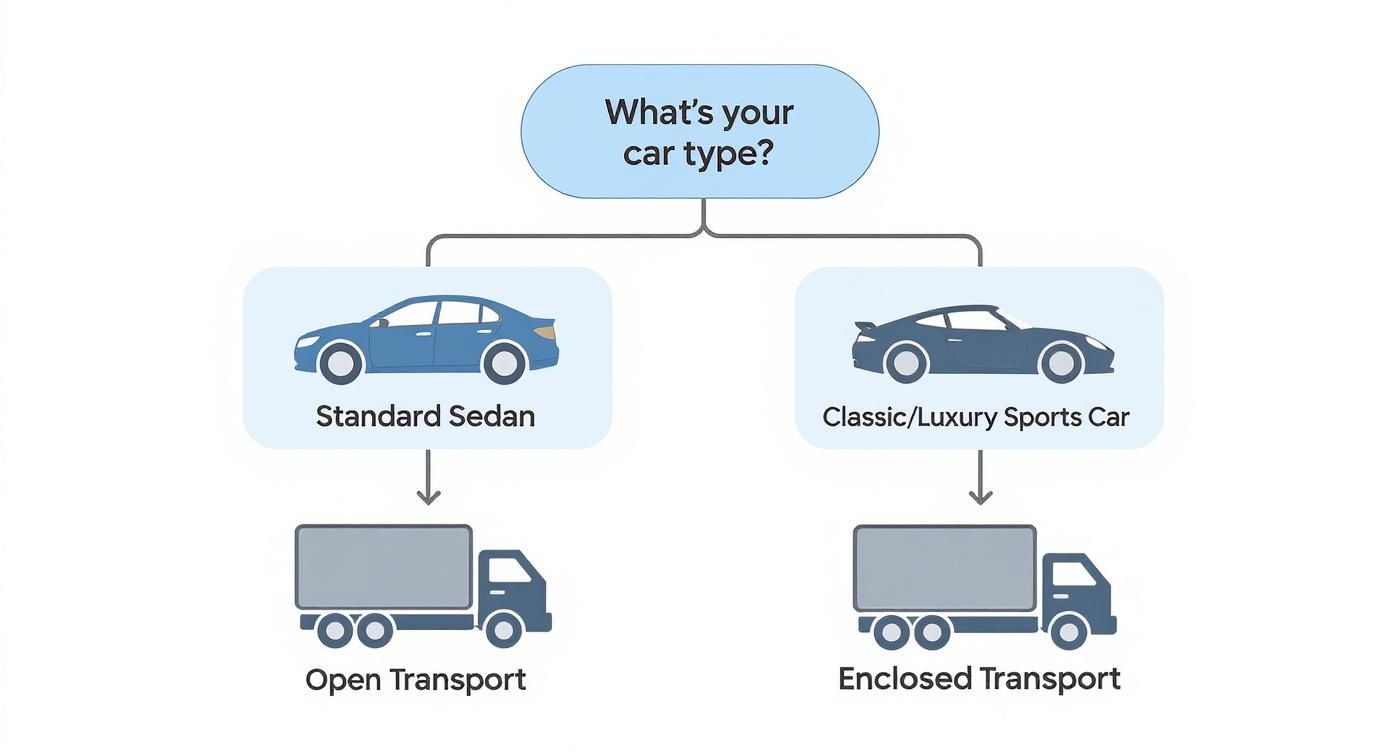 Infographic about how to ship a car