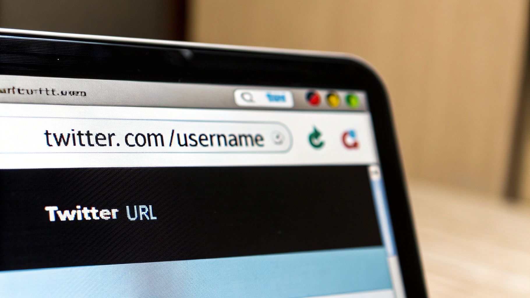 Understanding Twitter URLs