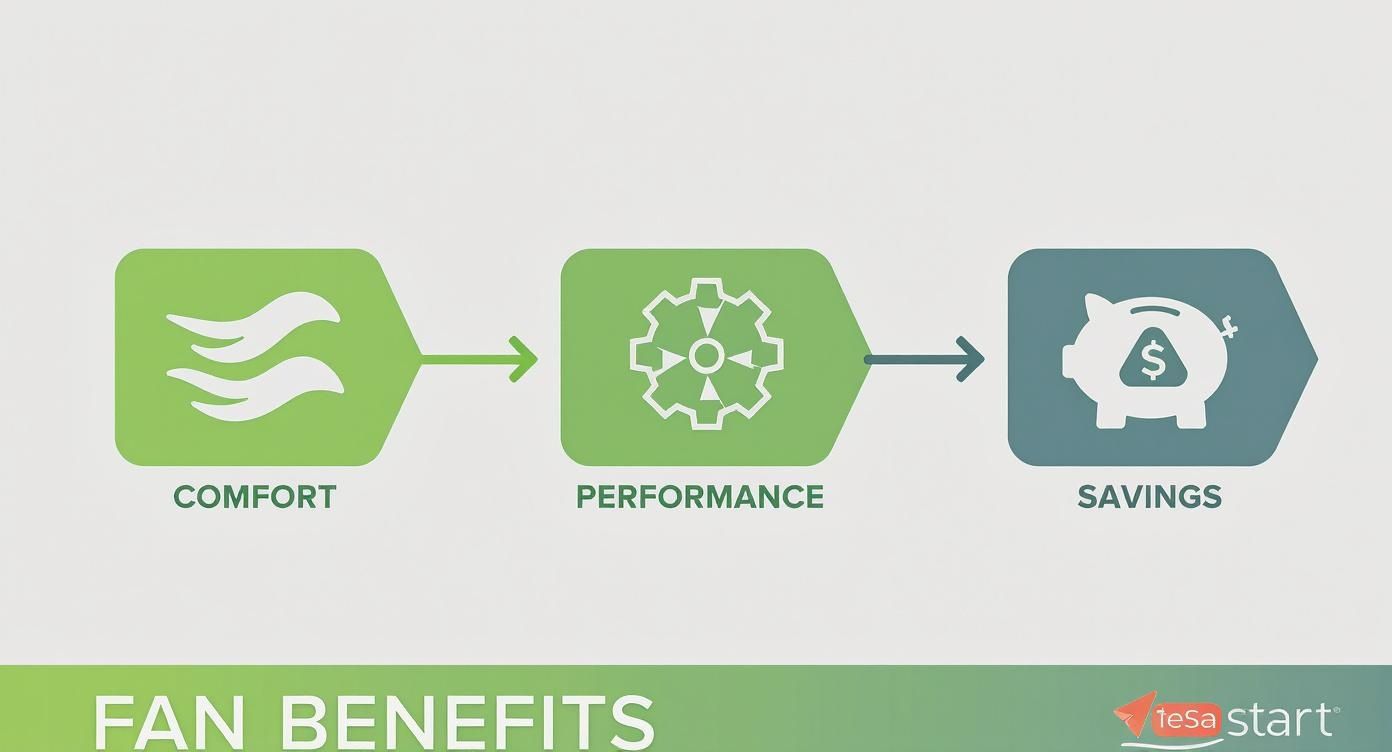 Infographic Showing The Process Flow Of Ceiling Fan Benefits From Comfort, To Performance, To Savings