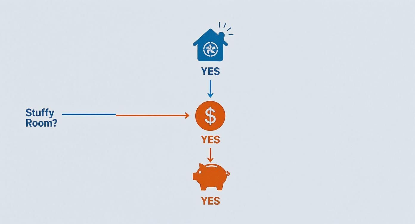Infographic About Ceiling Light And Fan