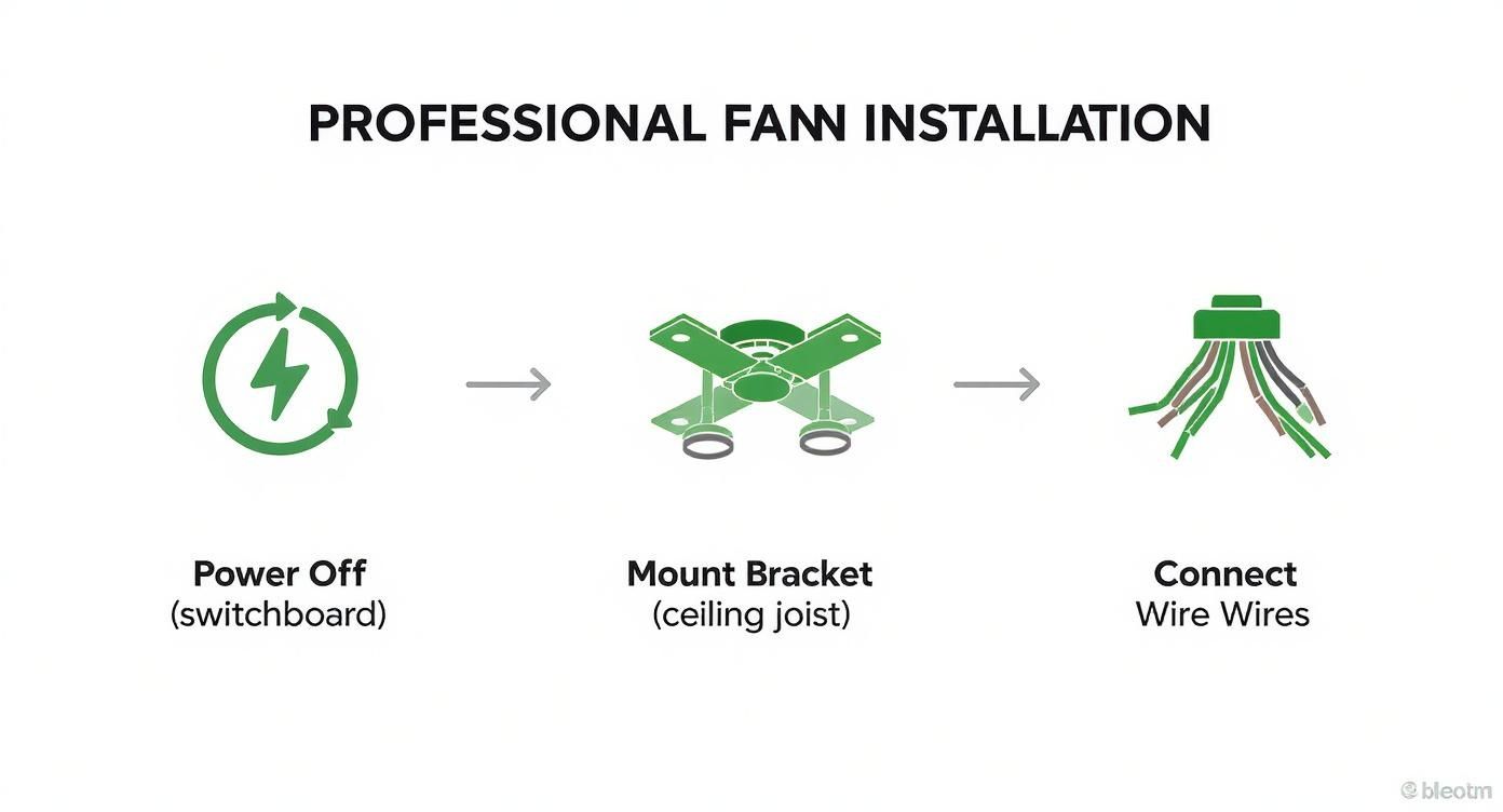 Infographic About Ceiling Light And Fan