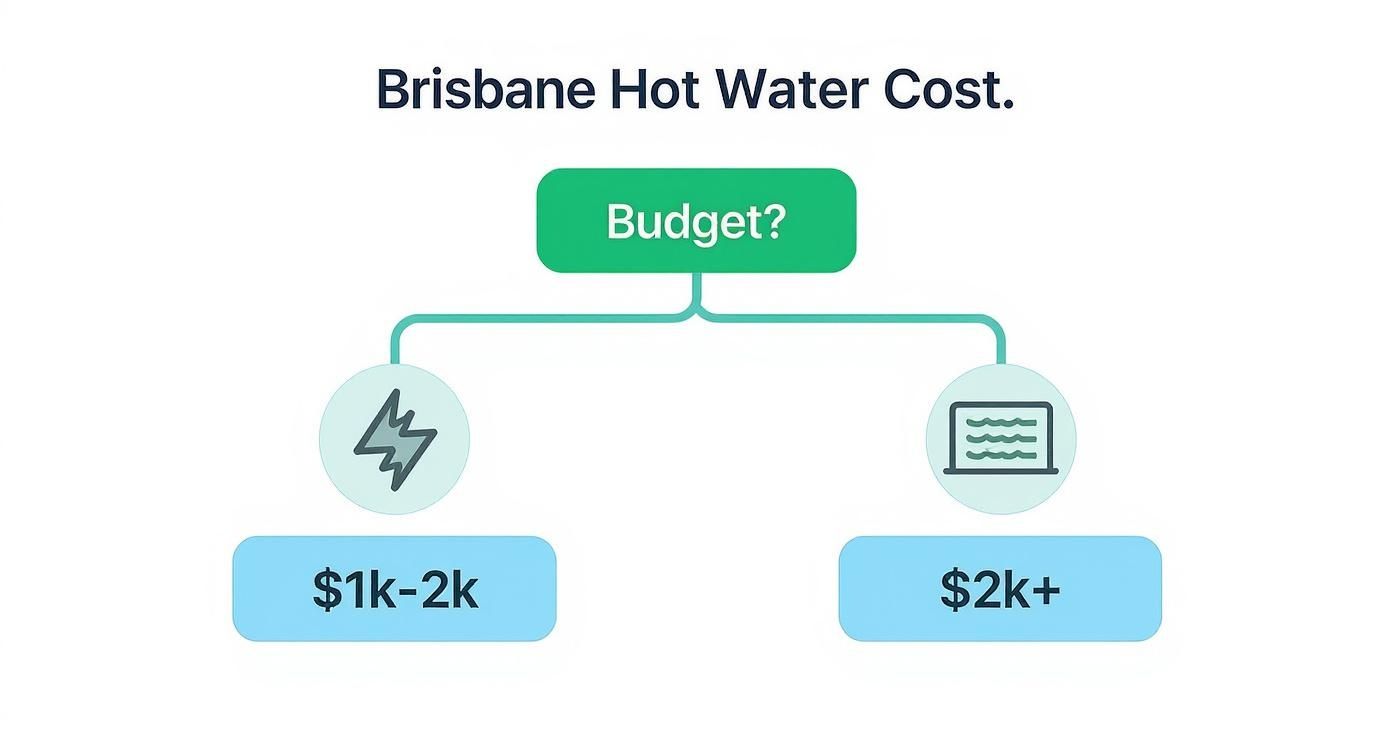 Infographic Showing A Decision Tree For Hot Water System Installation Cost Based On Budget