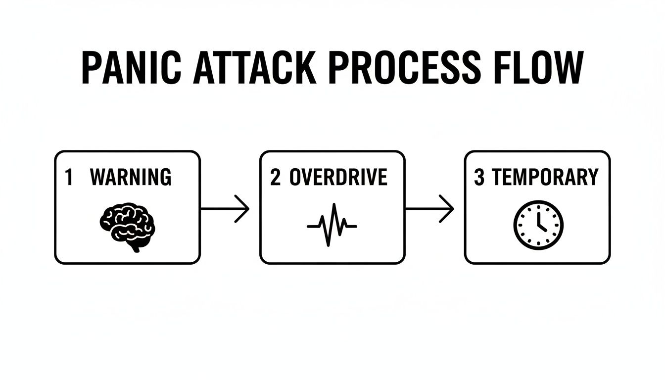 How to Manage Panic Attacks: A Guide to Finding Calm