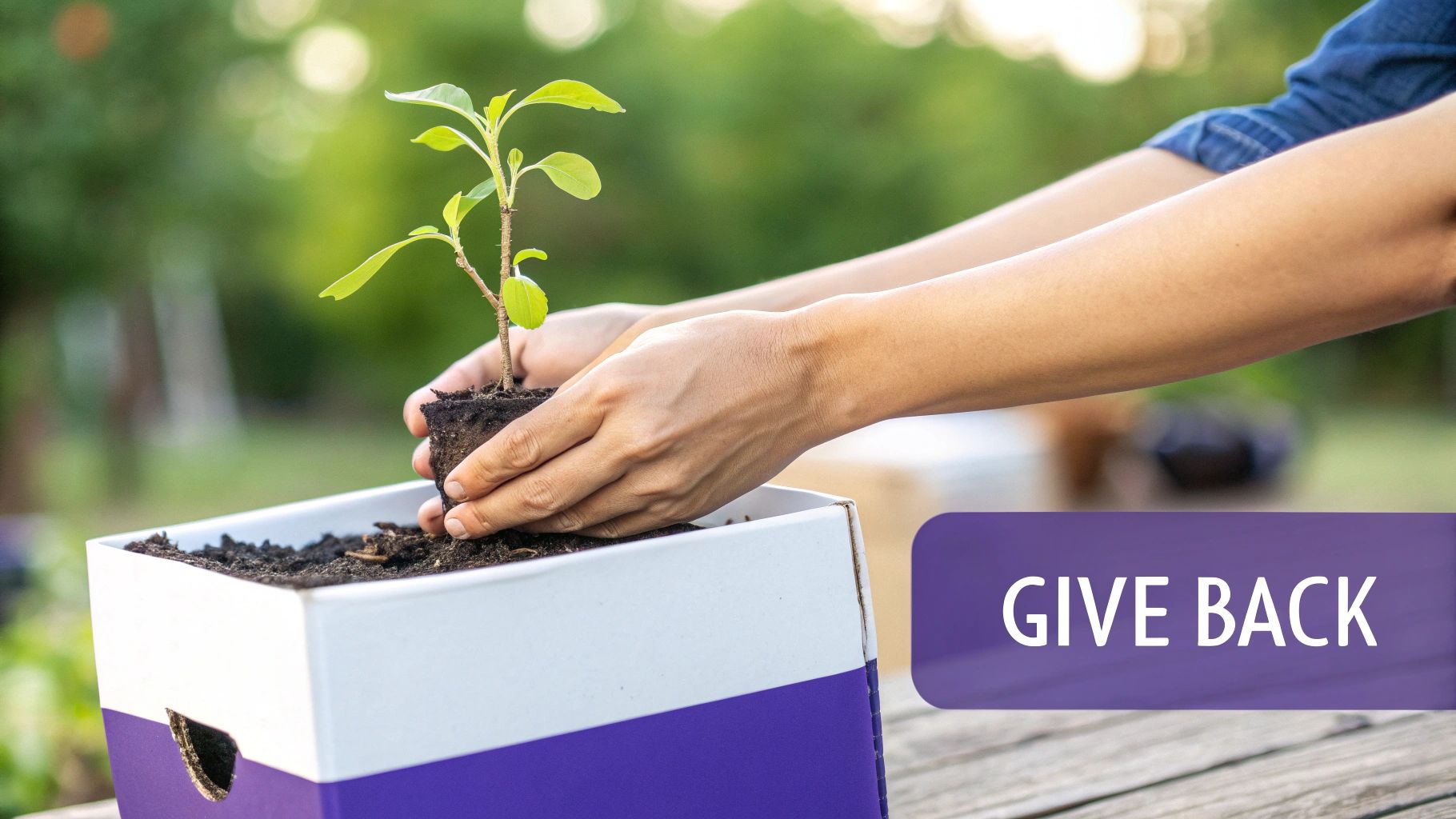 Free Service/Product Extension Program