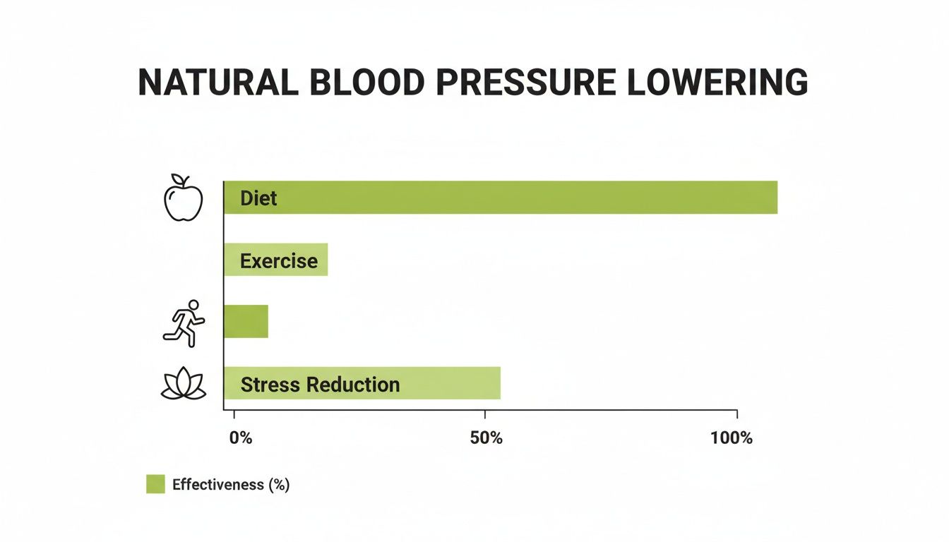Bar chart illustrating effectiveness of natural blood pressure lowering methods: Diet (110%), Stress Reduction (50%), and Exercise (20%).