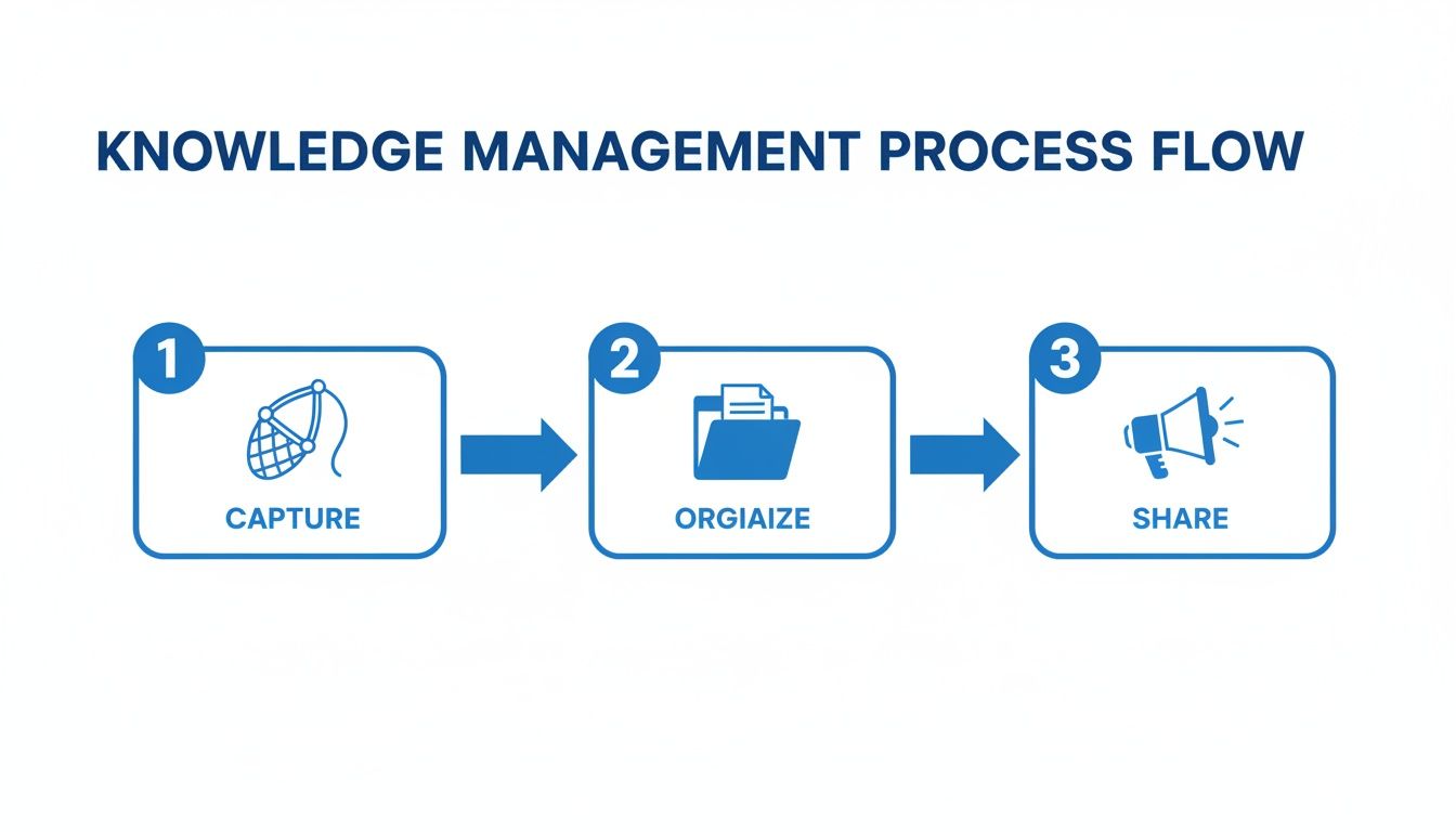 A blue knowledge management process flow diagram showing capture, organize, and share steps.